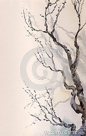 Watercolor painting. Bare branches of an old tree Stock Photo