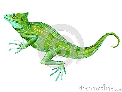 Watercolor painting of basilisk isolated on white background. Cartoon Illustration