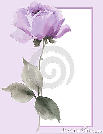 Watercolor painting of beautiful single lavender r Stock Photo