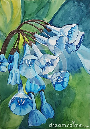 Watercolor painting of blue bell flowers Stock Photo
