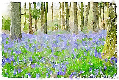 Watercolor painting of bluebell flowers in the woods Stock Photo