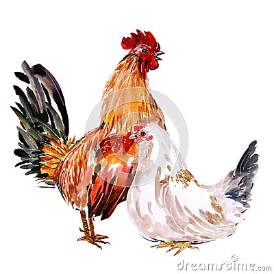 Watercolor painting chicken Animal Annual 2560/2017 Stock Photo