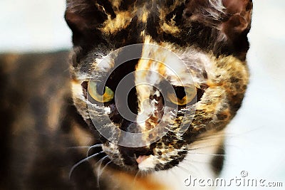 Watercolor painting Closeup of tabby cat face. muzzle half black half red Stock Photo