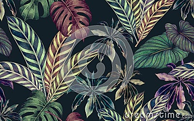 Watercolor painting colorful tropical leaf,green leave seamless pattern dark background.Watercolor hand drawn illustration tropic Cartoon Illustration