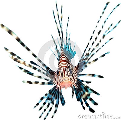 Watercolor painting of a cute lionfish (Pterois). AI-Generated. Stock Photo