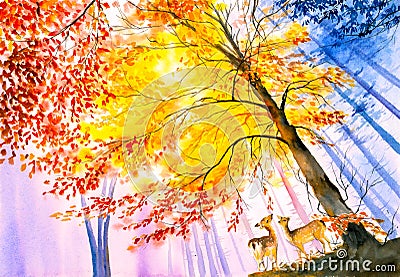 Watercolor Painting - Deer in Autumn Forest Stock Photo