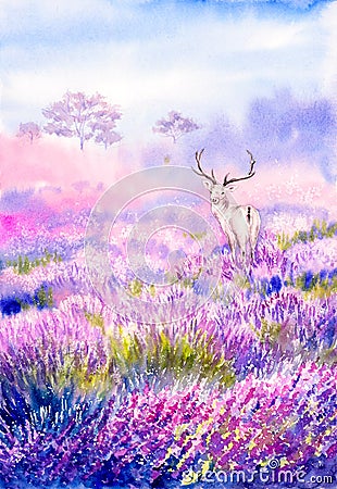 Watercolor Painting - Deer in lavender field Stock Photo