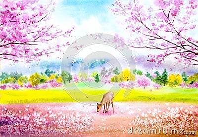 Watercolor Painting - Deer with Sakura Tree Stock Photo