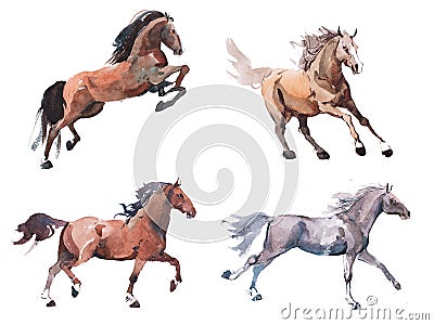 Watercolor painting of galloping horse, free running mustang aquarelle Stock Photo
