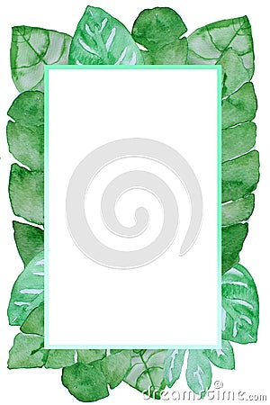 Watercolor painting of green tropical leaves on green background with frame, summer watercolor painting for background Stock Photo