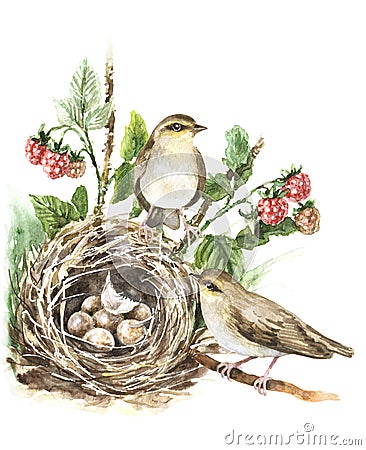 Watercolor Songbirds and Nest Cartoon Illustration