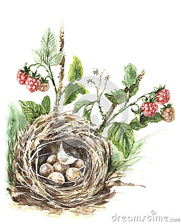 Watercolor Bird Nest Cartoon Illustration