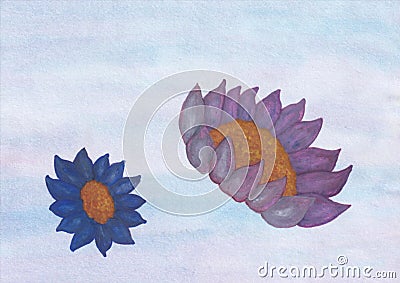 Watercolor painting illustration of two lotus flowers in front of a blue background Cartoon Illustration