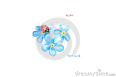 Watercolor painting. Image of ladybird on white background. Stock Photo