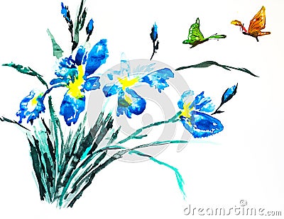 Watercolor painting of irises Stock Photo