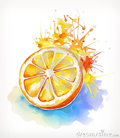 Watercolor painting juicy orange Vector Illustration