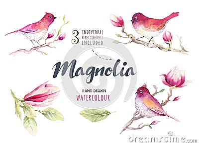 Watercolor Painting Magnolia blossom flower and bird wallpaper d Cartoon Illustration