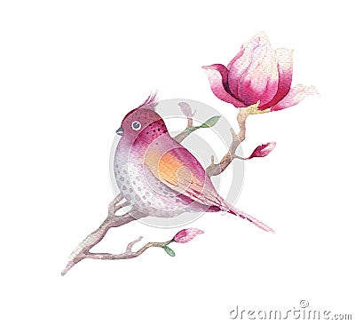 Watercolor Painting Magnolia blossom flower and bird wallpaper d Cartoon Illustration