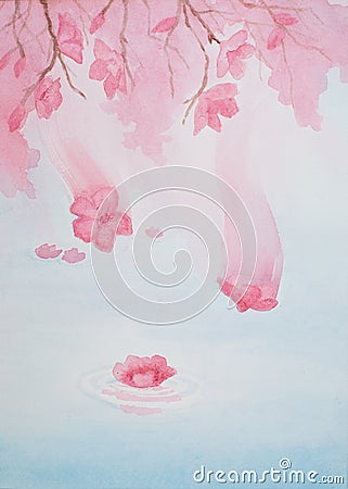 Watercolor painting of pink cherry blossoms falling from the tree and landing on still water Stock Photo