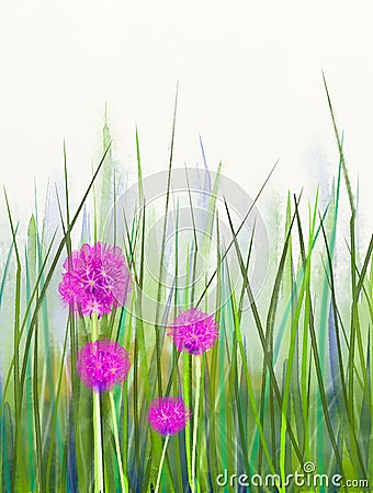 Watercolor painting pink chive flower over green leaf background Stock Photo