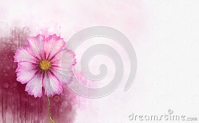 Watercolor painting of pink cosmos flower - in Latin Cosmos Bipinnatus. Letter head Stock Photo