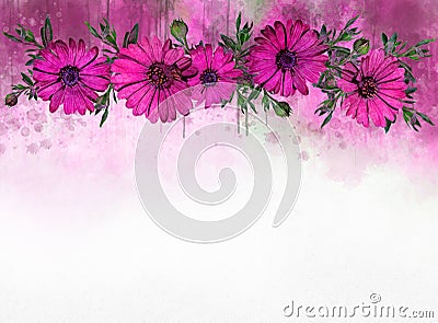 Watercolor painting of pink cosmos flowers - in Latin Cosmos Bipinnatus. Letter head Stock Photo