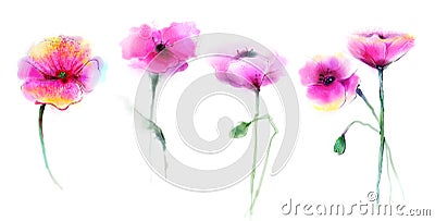 Watercolor painting poppy flower Stock Photo