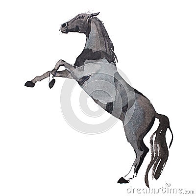 Watercolor painting of rearing up horse, brown mustang getting on legs aquarelle drawing Stock Photo