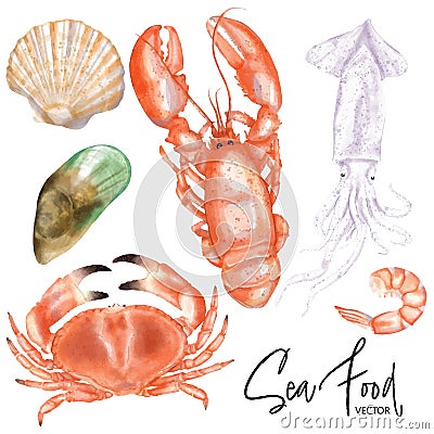 Watercolor painting seafood set Stock Photo