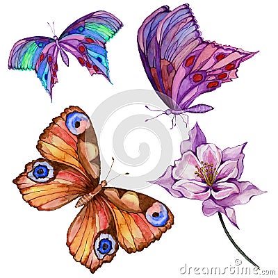 Watercolor painting set. Three bright beautiful butterflies, colombine flower on a stem. Isolated on white background. Cartoon Illustration