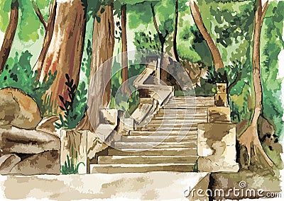 Watercolor painting. Stone staircase in the Park. vector Vector Illustration