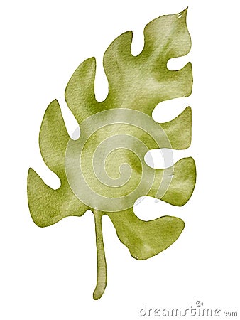 Watercolor painting tropical leaf, green leave isolated on white background Cartoon Illustration