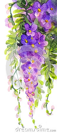 Watercolor painting. Violet wisteria Stock Photo