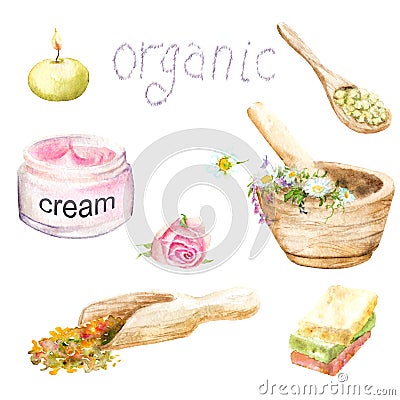 Watercolor paintings: natural cosmetics, plants. set cream, soap, salt, plants Stock Photo