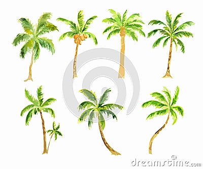 Watercolor palm set. Vector Illustration