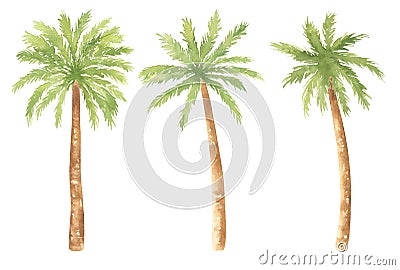 Watercolor Palm Trees Set Cartoon Illustration