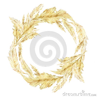 Watercolor pampas graas wreath for design boho and modern style . Golden frame south America, feathery flower head plumes for wedd Stock Photo