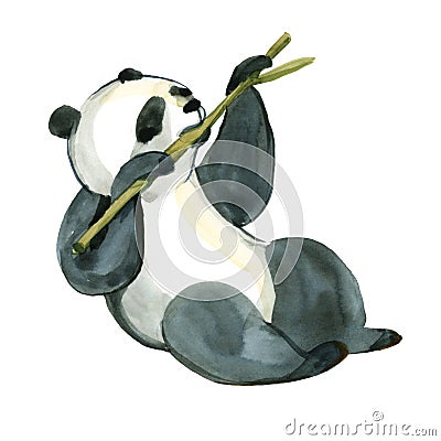 Watercolor panda is holding the bamboo branch Cartoon Illustration