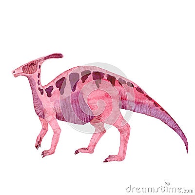 Watercolor parasaurolophus isolated on white. Hand-drawn illustration. For design, children things Cartoon Illustration