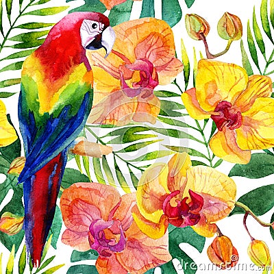 Watercolor parot seamless pattern Cartoon Illustration