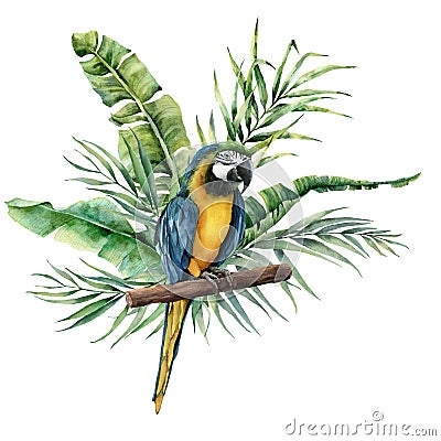 Watercolor parrot with tropical leaves. Hand painted parrot with monstera, banana and palm greenery branch isolated on Cartoon Illustration