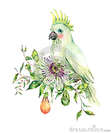 Watercolor Passiflora and white parrot greeting card Cartoon Illustration