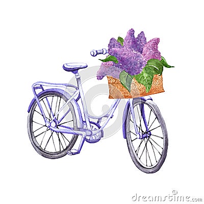 Watercolor pastel blue vintage bicycle illustration. Hand drawn beach cruiser with basket and purple lilac flowers, isolated on Cartoon Illustration