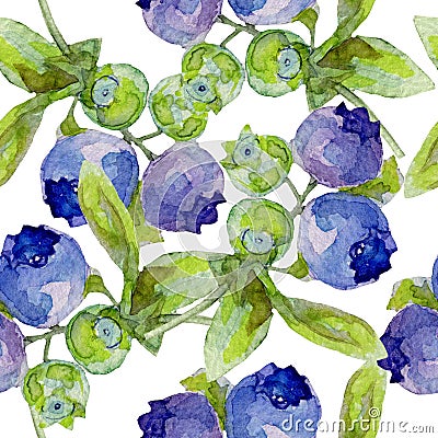 Watercolor pattern with blueberry. Hand drawn on white background. Stock Photo