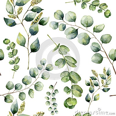 Watercolor pattern with eucalyptus. Hand painted floral ornament with silver dollar, seeded and baby eucalyptus branches Stock Photo