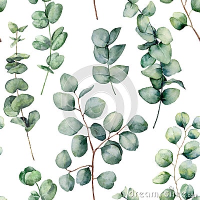 Watercolor pattern with eucalyptus round leaves. Hand painted baby and silver dollar eucalyptus branch isolated on white Cartoon Illustration