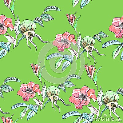 Watercolor pattern with painted flowers and rosehips and leaves on a green background Stock Photo