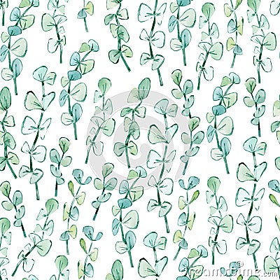 Watercolor pattern seamless eucalyptus branches Stock Photo