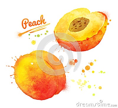 Watercolor peach. Cartoon Illustration