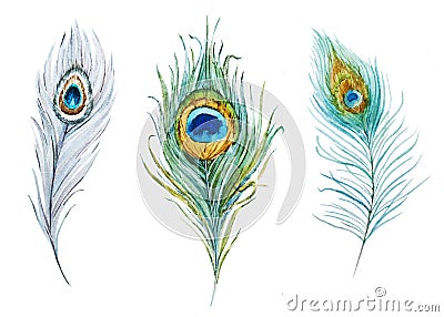 Watercolor peacock feather set Cartoon Illustration